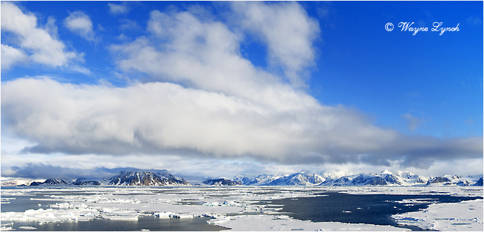 Northwest Islands Panorama - Svalbard Archipelago 102 by Dr. Wayne Lynch &copy;